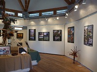 �S�a�ޘZ���ʐ^�W