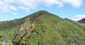 �Z���n��