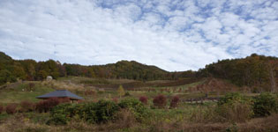 �Z���n��