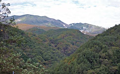 �Z���n��