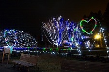 �C���~�l�[�V����