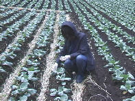 ���Ƃ�,�������W���[