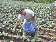 �t���̔엿�̂܂����u�K