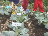 ���D�͂���Ȋ���