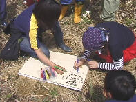 �L���x�c���̊Ŕ�