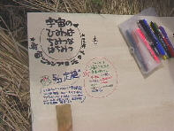 �L���x�c���̊Ŕ�