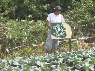 ���̕ӂɗ��Ă悤