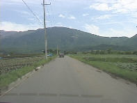 �R�Ɍ�����