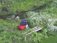 ������ł݂悤