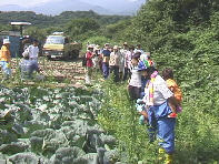 �t���Ɉ��A