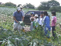 ���l�t��