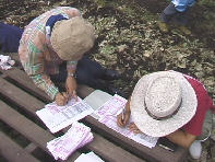 ��z�ֈ���