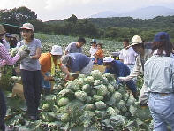 �L���x�c�̎R