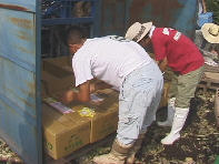 �����V�[��