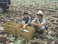 �V���E�E�E