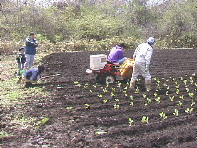 �@�B�A�������Ă���