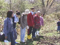 ����,��������