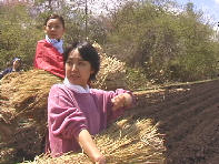 �ǂ��ɓ�����?