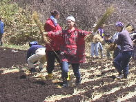 ���������낤