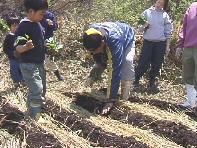 �e�w�Ō����J����