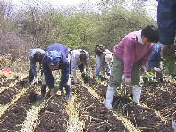 �ǂ���������