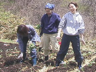 �����ւ񂾂�