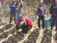 �L�O�B�e���悤