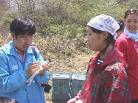 ��ѐV���̎�ނ͑���