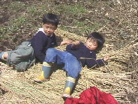 ��ꂽ����,�m�̃x�b�h�ŐQ�邩