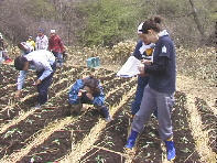 ����������ς�