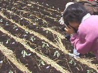 �����B�낤