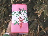 ��A��,���j���̂��Ԕ�