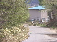 �Ή����̑q��