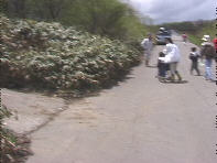 ���ɓ���